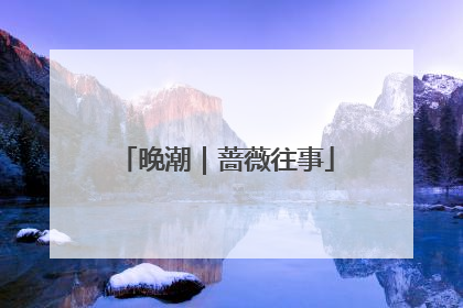 晚潮｜蔷薇往事